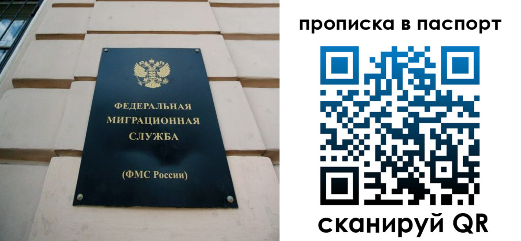 прописка для работы в Димитровграде